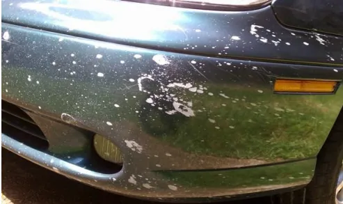 Professional Vehicle Overspray Removal Vs. DIY